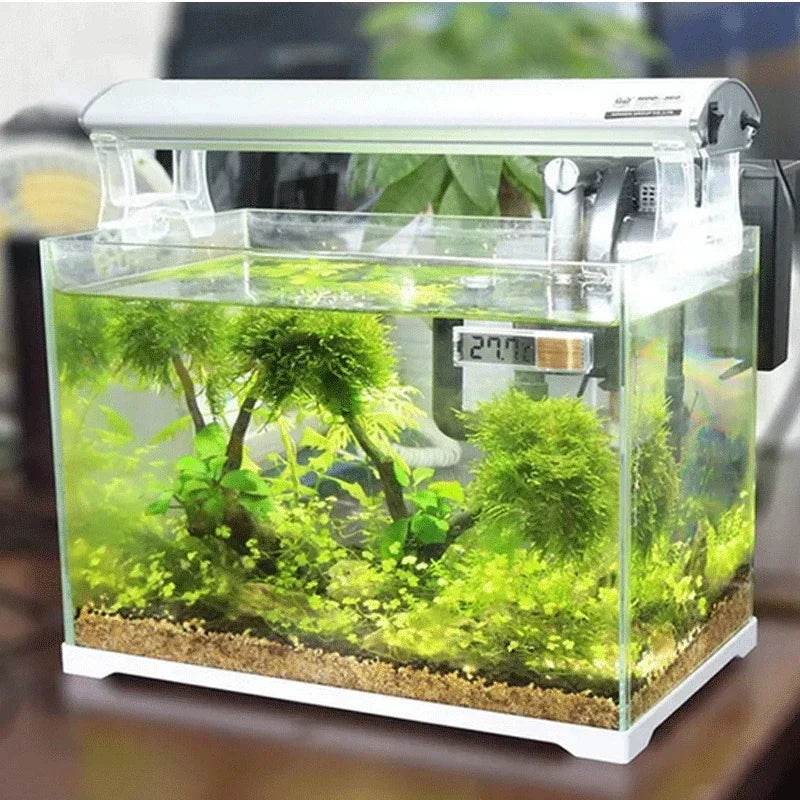 Thermomètre électronique LCD numérique pour Aquarium, mesure de la température du réservoir de poisson, accessoires d'aquarium - Animaleriex
