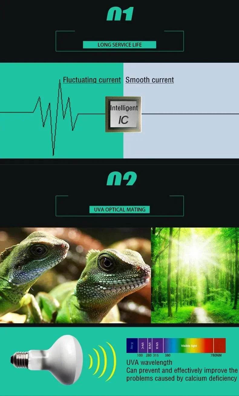 25W-100W Reptile UVA + UVB lampe ampoule tortue se prélasser UV ampoules lampe chauffante tortue lézards Terrarium régulateur de température - Animaleriex