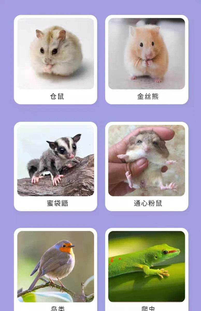 Jouet coulissant pour Hamster assemblé, cochon d'inde, ours doré, nid de maison de Hamster respirant et amusant, Chinchillas, jouet d'exercice pour Hamster, accessoire - Animaleriex