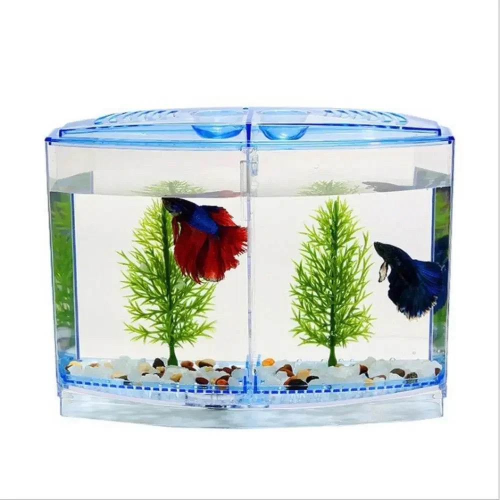 Aquarium Betta Transparent avec herbe aquatique, boîte d'isolation Betta en plastique à Double grille, grille simple et Double - Animaleriex