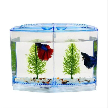 Aquarium Betta Transparent avec herbe aquatique, boîte d'isolation Betta en plastique à Double grille, grille simple et Double - Animaleriex