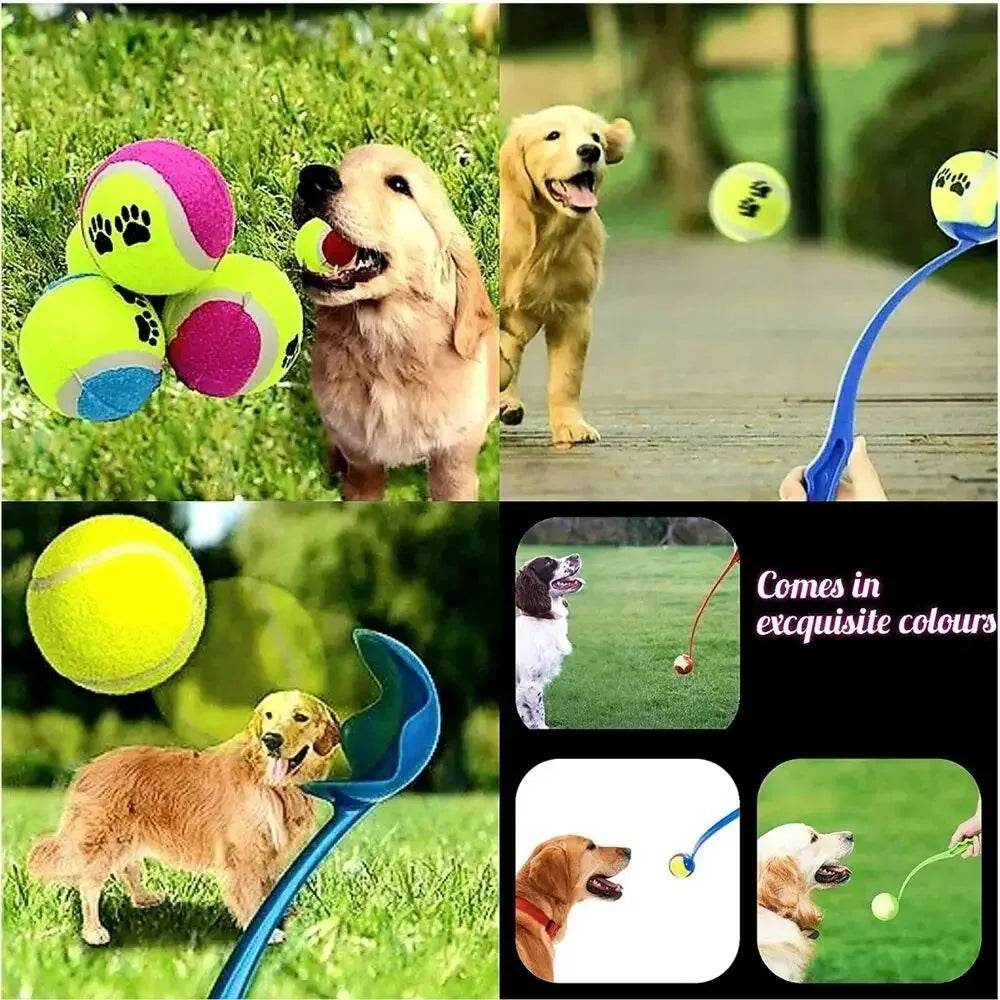 Bâton de lancer pour animaux de compagnie, balle à lancer à la main pour chien, jouets, pôle de lancement de Tennis pour animaux de compagnie, activités de plein air, jouets d'entraînement pour chiens, fournitures pour animaux de compagnie - Animaleriex