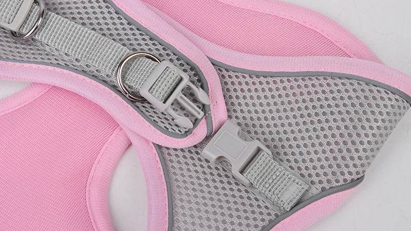 Ensemble de laisse de harnais pour chien pour petits chiens, harnais réglable pour chiot et chat, gilet bouledogue français, Chihuahua, carlin, laisse de marche en plein air - Animaleriex