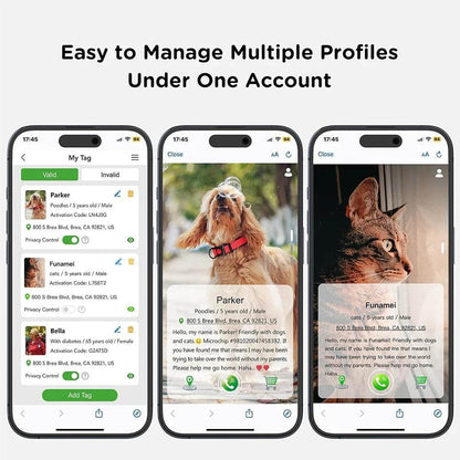 Collier de chat GPS Tracker avec étui Airtag et étiquette d'identification QR collier de chaton réfléchissant à double Protection pour chats Gatos chiot Air Tag chats - Animaleriex