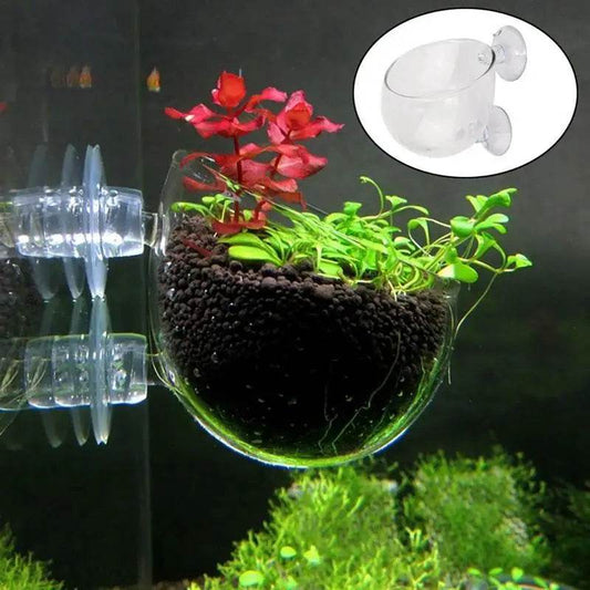 Pot de décoration d'aquarium, Pot en acrylique pour plantes aquatiques, avec support d'aspiration, cylindre de plantation, outil de décoration d'aquarium - Animaleriex