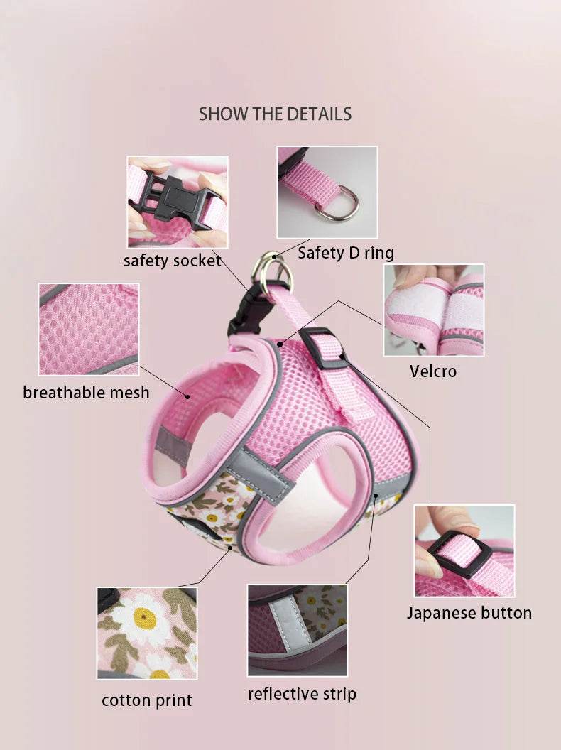 Harnais et laisse en maille de Nylon pour chat, respirant, pour chaton, petit chien, chiot, bouledogue français, Chihuahua, carlin - Animaleriex