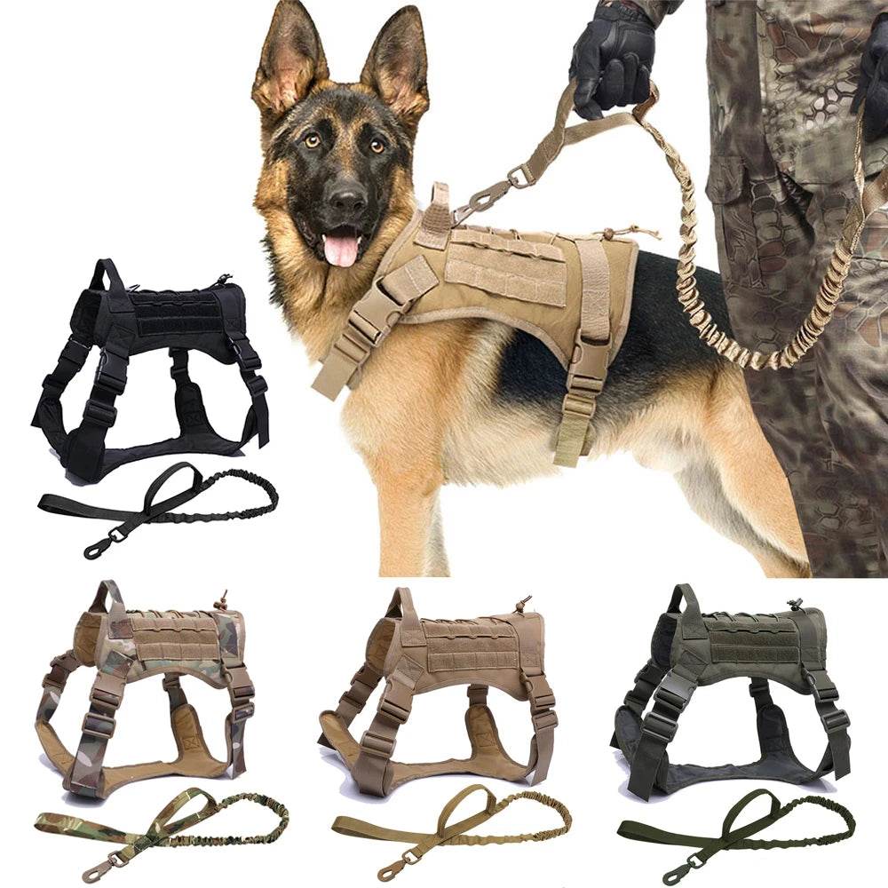 Harnais tactique pour chien, gilet d'entraînement pour animaux de compagnie, harnais militaire pour chien, collier de laisse pour petits, moyens et grands chiens, marche et chasse - Animaleriex