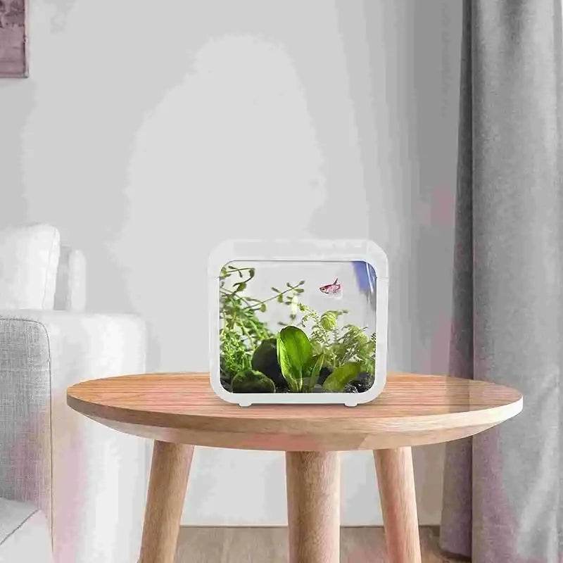 Transparent petit Aquarium créatif lumière LED Aquarium poissons blocs de construction isolé boîte réservoir pour reproduire l'alimentation Betta poisson rouge - Animaleriex