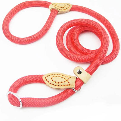 Laisse pour chien, corde coulissante, laisse en plomb, corde tressée robuste, collier à boucle réglable, laisse d'entraînement pour chiens de taille moyenne et grande - Animaleriex