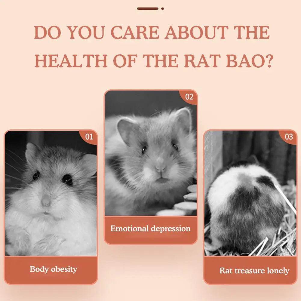 Roue de course pour Hamster, ours doré, support de ceinture en bois muet avec coussin en liège, rouleau de sport, ours doré, aménagement paysager, fournitures pour animaux de compagnie - Animaleriex