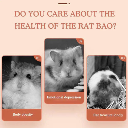 Roue de course pour Hamster, ours doré, support de ceinture en bois muet avec coussin en liège, rouleau de sport, ours doré, aménagement paysager, fournitures pour animaux de compagnie - Animaleriex