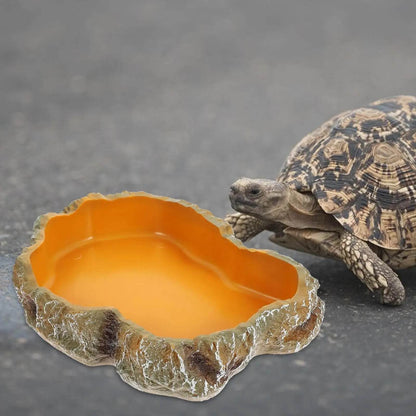 Bols d'eau pour reptiles, plaque de Terrarium, mangeoire pour amphibiens, grenouille, caméléon, tortue, Dragon barbu, tortue - Animaleriex