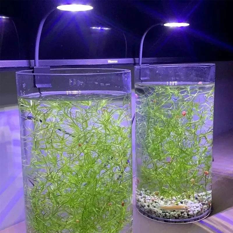 Lampe à pince pour aquarium 5W/7W, alimentation USB, décoration Led, spectre complet, étanche, lampe à algues, éclairage décoratif pour petit aquarium - Animaleriex