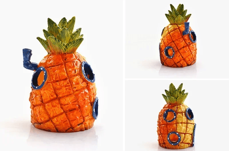 Aquarium décoratif paysage accessoires Aquariums décoration grands Aquariums acryliques et Aquariums accessoires miroir marbre - Animaleriex