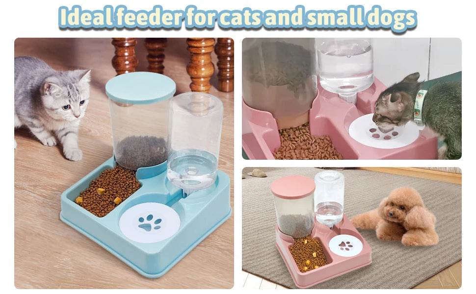 Ensemble de distributeur d'eau automatique pour chat, distributeur automatique d'eau et de nourriture pour animaux de compagnie incliné 2 en 1, distributeur de nourriture et d'eau par gravité - Animaleriex