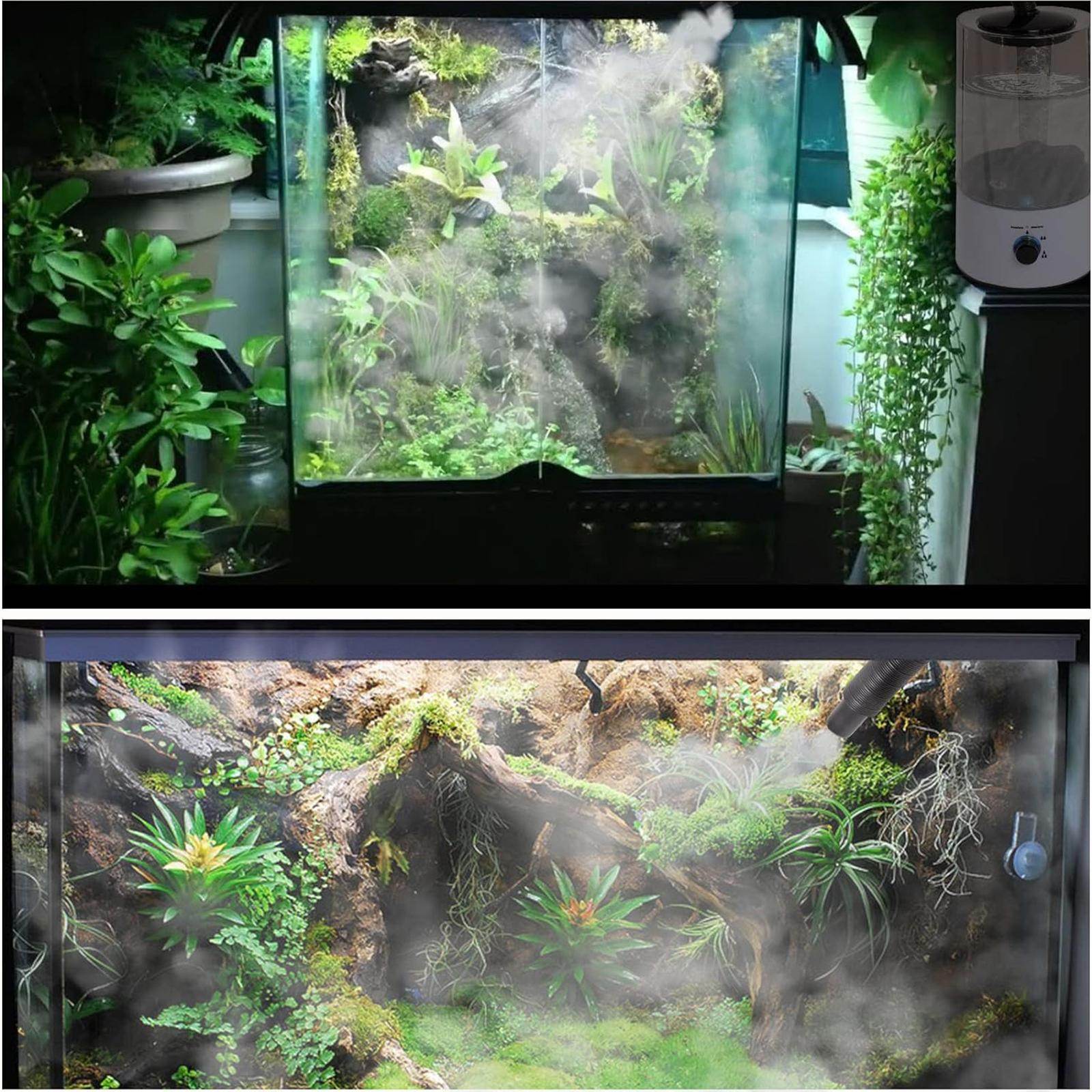 Humidificateur de reptiles 4L, brumisateur de Terrarium, arrêt automatique, empêche le fonctionnement à sec, Durable pour tortue avec tuyau d'extension - Animaleriex