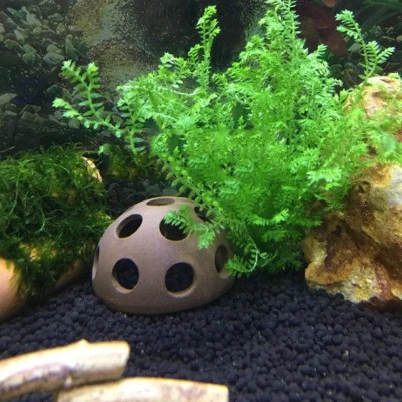 Décoration d'aquarium en céramique, abri pour poissons et crevettes, poterie, maison de Scorpion, Simulation de pierre, décor d'aquarium idéal - Animaleriex