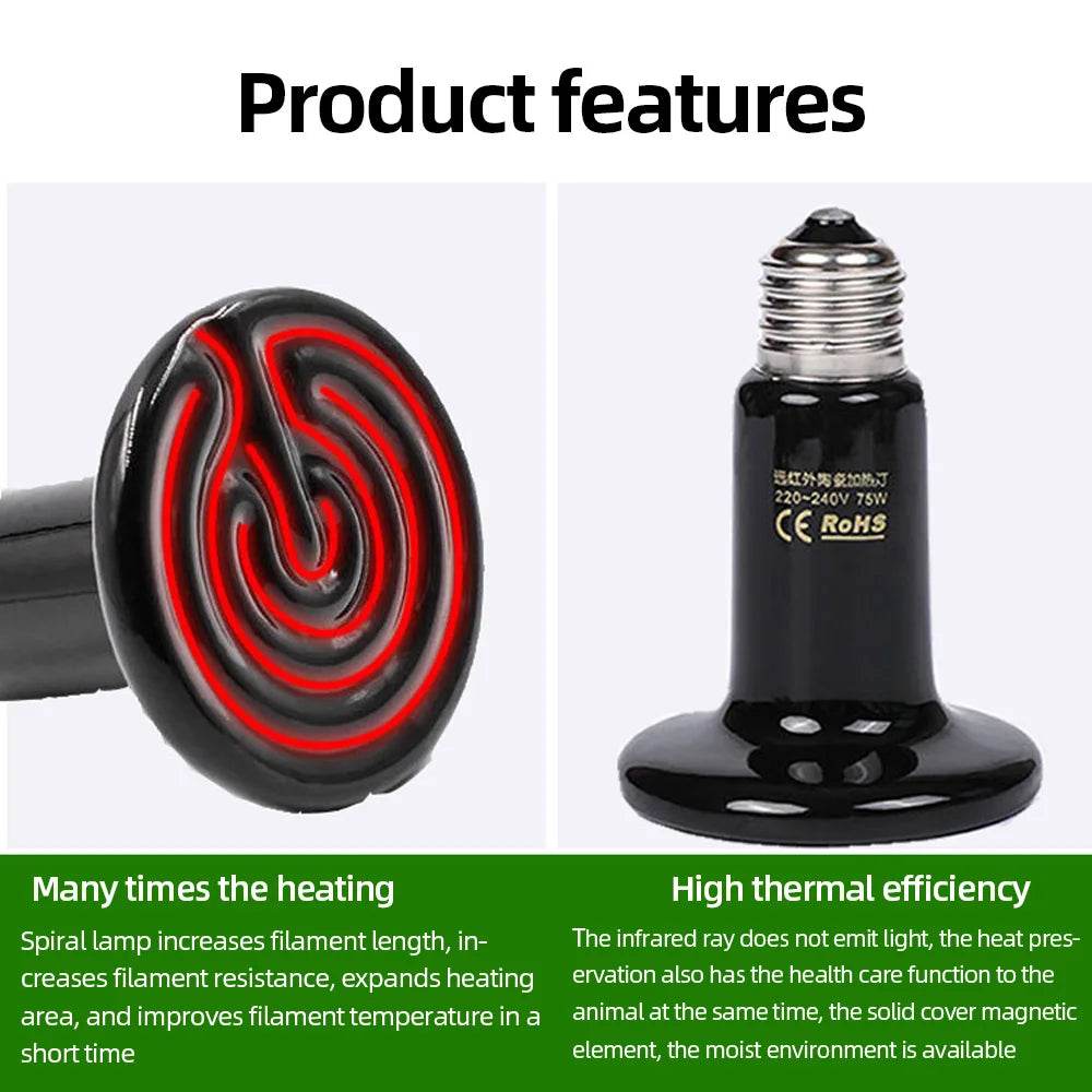 Lampe chauffante en céramique pour animaux de compagnie, à infrarouge lointain, 25W, 50W, 75W, 100W, 150W, 200W, 110V, 220V, pour reptiles, tortues, couveuse, émetteur de chaleur - Animaleriex