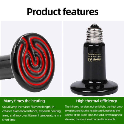 Lampe chauffante en céramique pour animaux de compagnie, à infrarouge lointain, 25W, 50W, 75W, 100W, 150W, 200W, 110V, 220V, pour reptiles, tortues, couveuse, émetteur de chaleur - Animaleriex