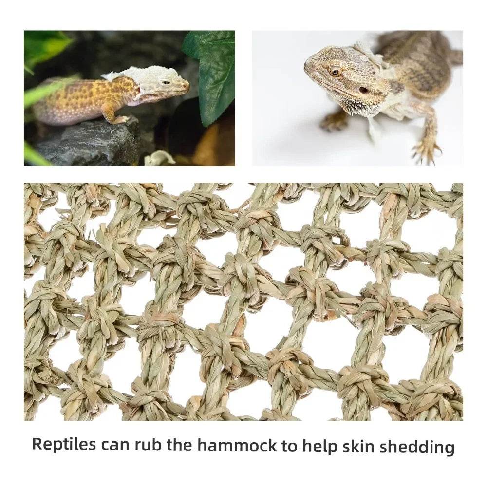 Hamac Dragon barbu pour reptiles, chaise longue pour caméléon, lézards, Gecko, serpents, Lguana, coussin d'herbe, balançoire pour animal de compagnie - Animaleriex