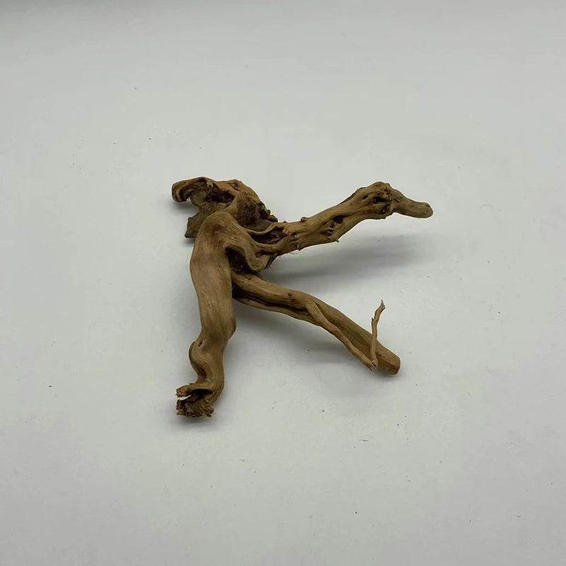 Tronc d'arbre naturel bois flotté Aquarium Aquarium plante bois décoration ornement Aquarium décoration Aquarium accessoires - Animaleriex