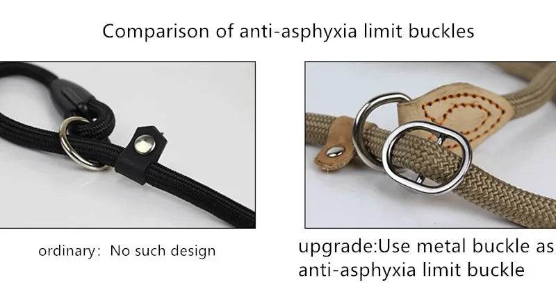 Laisse pour chien, corde coulissante, laisse en plomb, corde tressée robuste, collier à boucle réglable, laisse d'entraînement pour chiens de taille moyenne et grande - Animaleriex