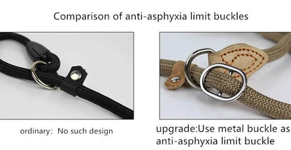 Laisse pour chien, corde coulissante, laisse en plomb, corde tressée robuste, collier à boucle réglable, laisse d'entraînement pour chiens de taille moyenne et grande - Animaleriex