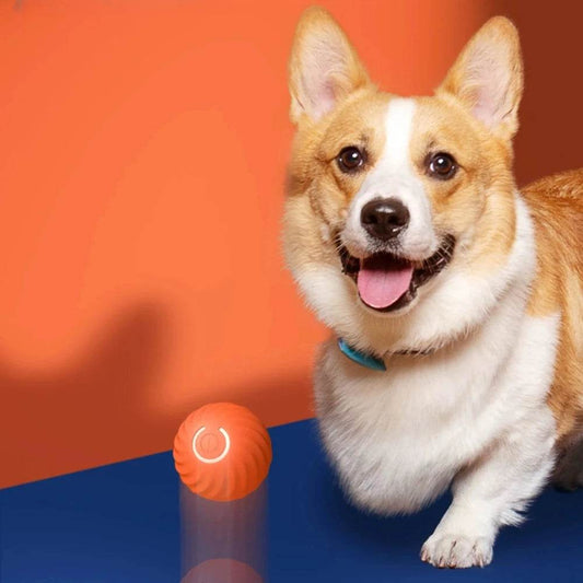 Balle électronique Interactive pour animaux de compagnie, jouet interactif pour chien, intelligent, mobile, saut par gravité, produits pour animaux de compagnie, Rechargeable - Animaleriex
