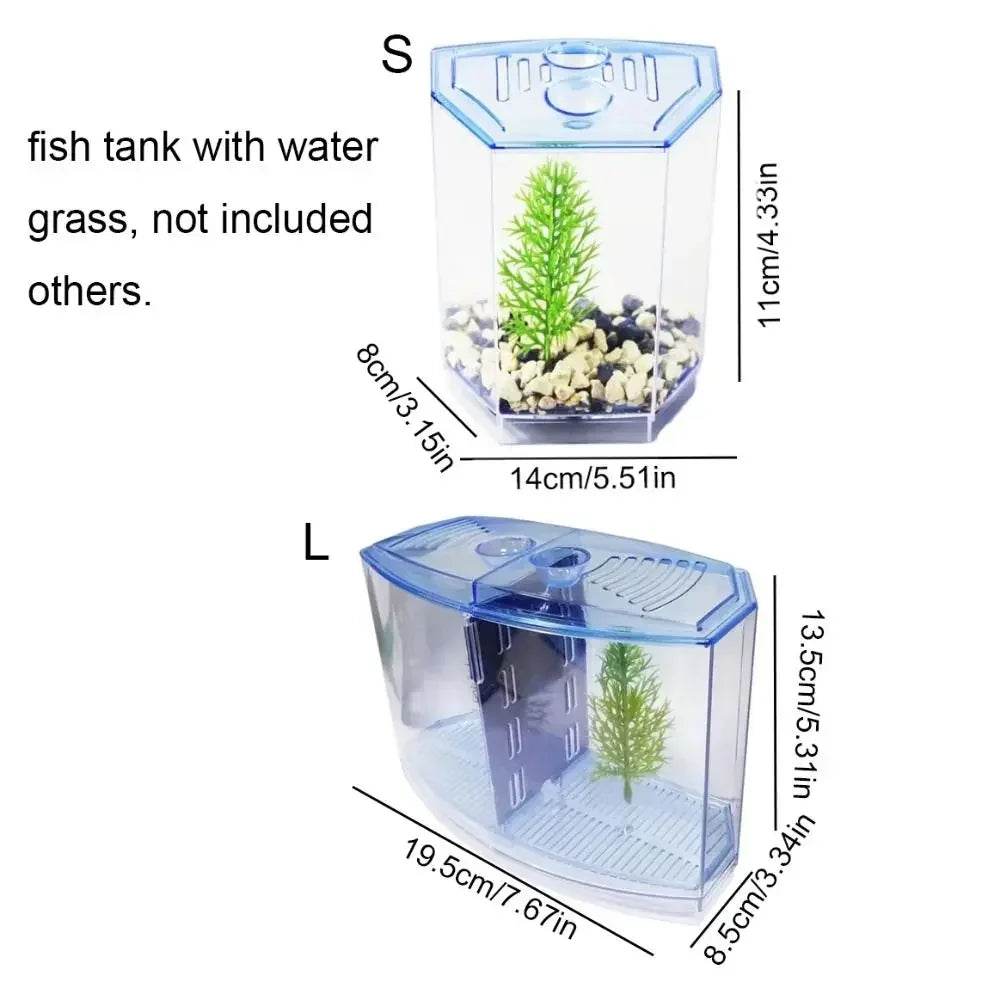 Aquarium Betta Transparent avec herbe aquatique, boîte d'isolation Betta en plastique à Double grille, grille simple et Double - Animaleriex