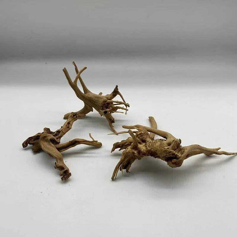 Tronc d'arbre naturel bois flotté Aquarium Aquarium plante bois décoration ornement Aquarium décoration Aquarium accessoires - Animaleriex