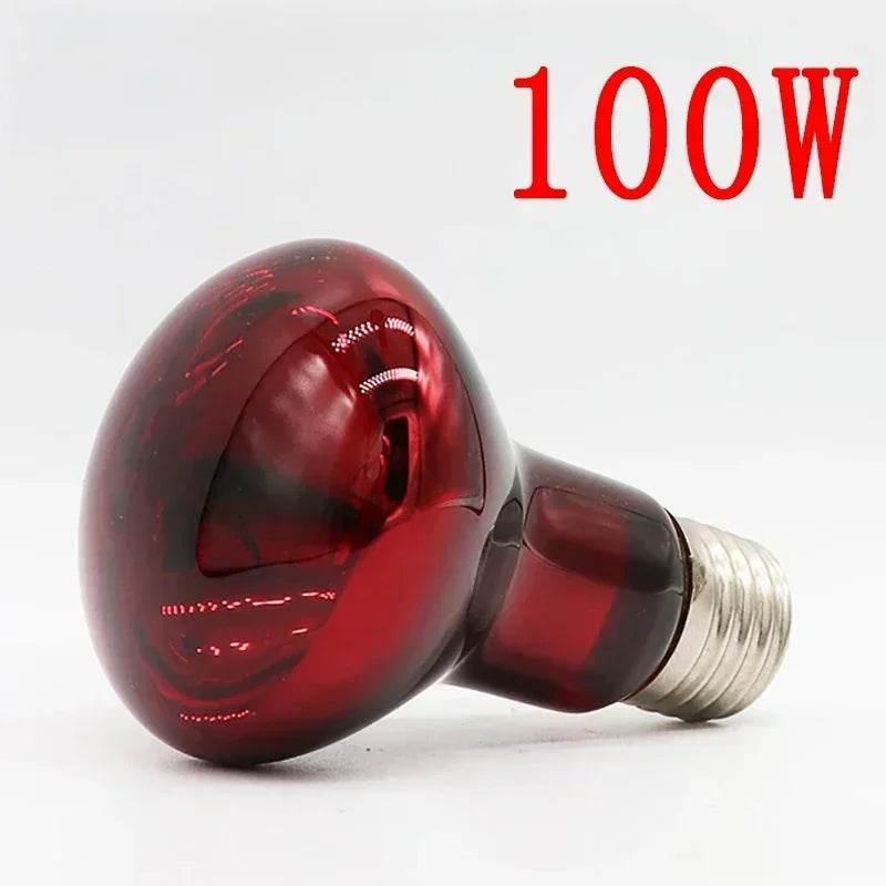 Lampe chauffante rouge amphibie UVA 220V, 25/40/50/60/75/100W, lampe infrarouge, ampoule en verre, accessoires pour Reptiles, serpents, lézards - Animaleriex