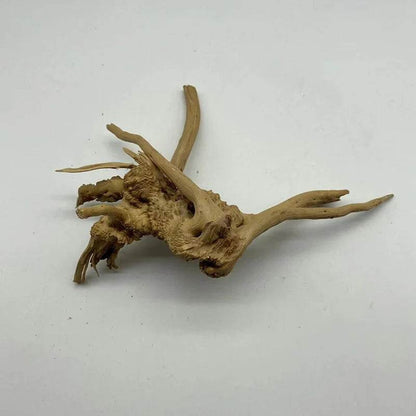 Tronc d'arbre naturel bois flotté Aquarium Aquarium plante bois décoration ornement Aquarium décoration Aquarium accessoires - Animaleriex