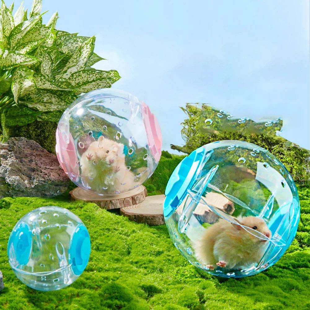 Balle d'exercice pour Hamster 14cm/18/cm, boule de course transparente avec corde de Traction pour petits animaux, fournitures pour animaux de compagnie - Animaleriex