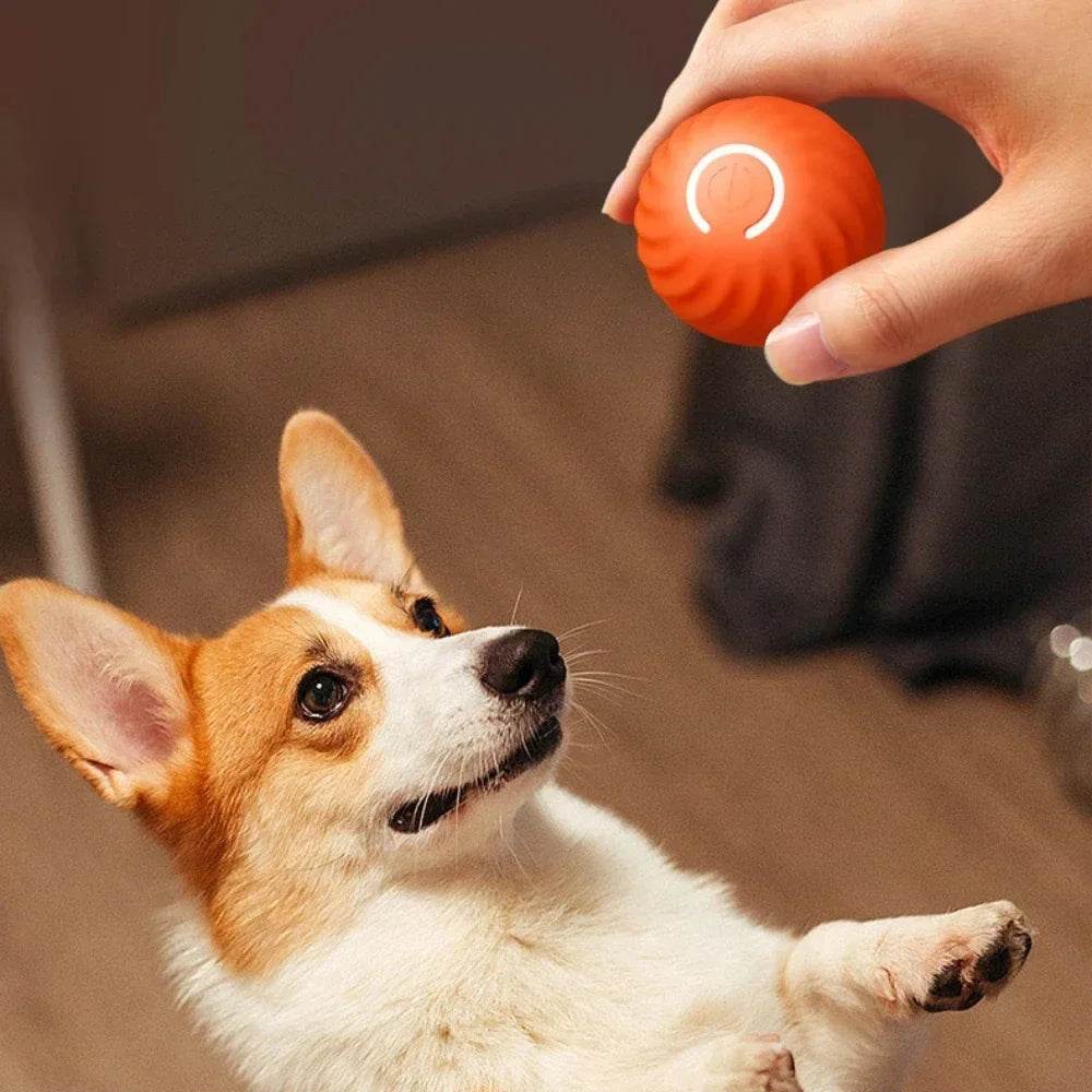 Balle électronique Interactive pour animaux de compagnie, jouet interactif pour chien, intelligent, mobile, saut par gravité, produits pour animaux de compagnie, Rechargeable - Animaleriex