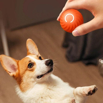 Balle électronique Interactive pour animaux de compagnie, jouet interactif pour chien, intelligent, mobile, saut par gravité, produits pour animaux de compagnie, Rechargeable - Animaleriex