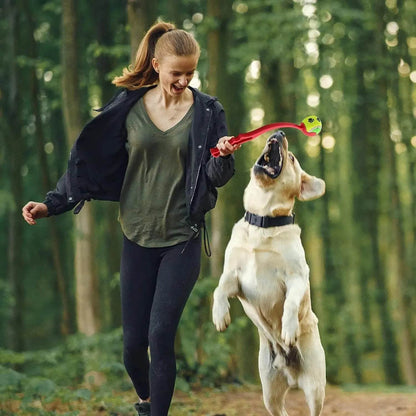 Bâton de lancer pour animaux de compagnie, balle à lancer à la main pour chien, jouets, pôle de lancement de Tennis pour animaux de compagnie, activités de plein air, jouets d'entraînement pour chiens, fournitures pour animaux de compagnie - Animaleriex