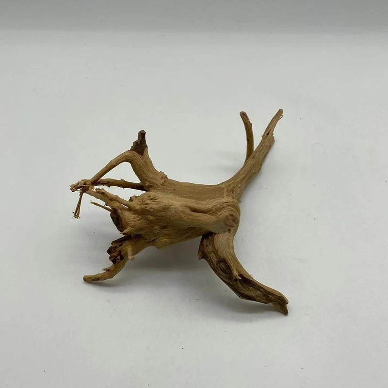 Tronc d'arbre naturel bois flotté Aquarium Aquarium plante bois décoration ornement Aquarium décoration Aquarium accessoires - Animaleriex
