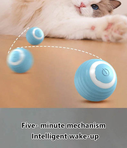 Balle Interactive pour chat, jouets intelligents pour animaux de compagnie, boule magique à roulement automatique d'intérieur, jouet interactif électronique, accessoires de jeu pour chat - Animaleriex