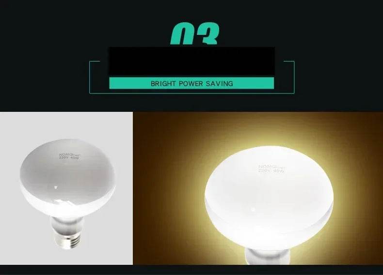 25W-100W Reptile UVA + UVB lampe ampoule tortue se prélasser UV ampoules lampe chauffante tortue lézards Terrarium régulateur de température - Animaleriex