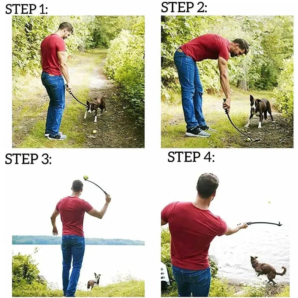 Bâton de lancer pour animaux de compagnie, balle à lancer à la main pour chien, jouets, pôle de lancement de Tennis pour animaux de compagnie, activités de plein air, jouets d'entraînement pour chiens, fournitures pour animaux de compagnie - Animaleriex