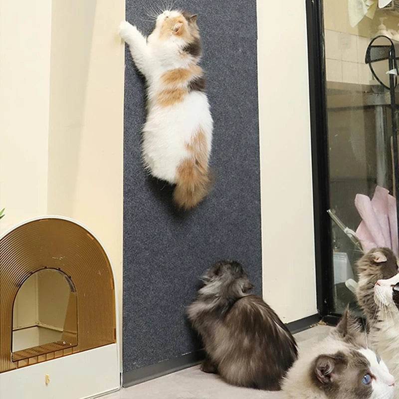 Tapis à gratter autocollant pour chat – Protégez vos meubles et murs des rayures avec cette solution facile à utiliser. - Animaleriex