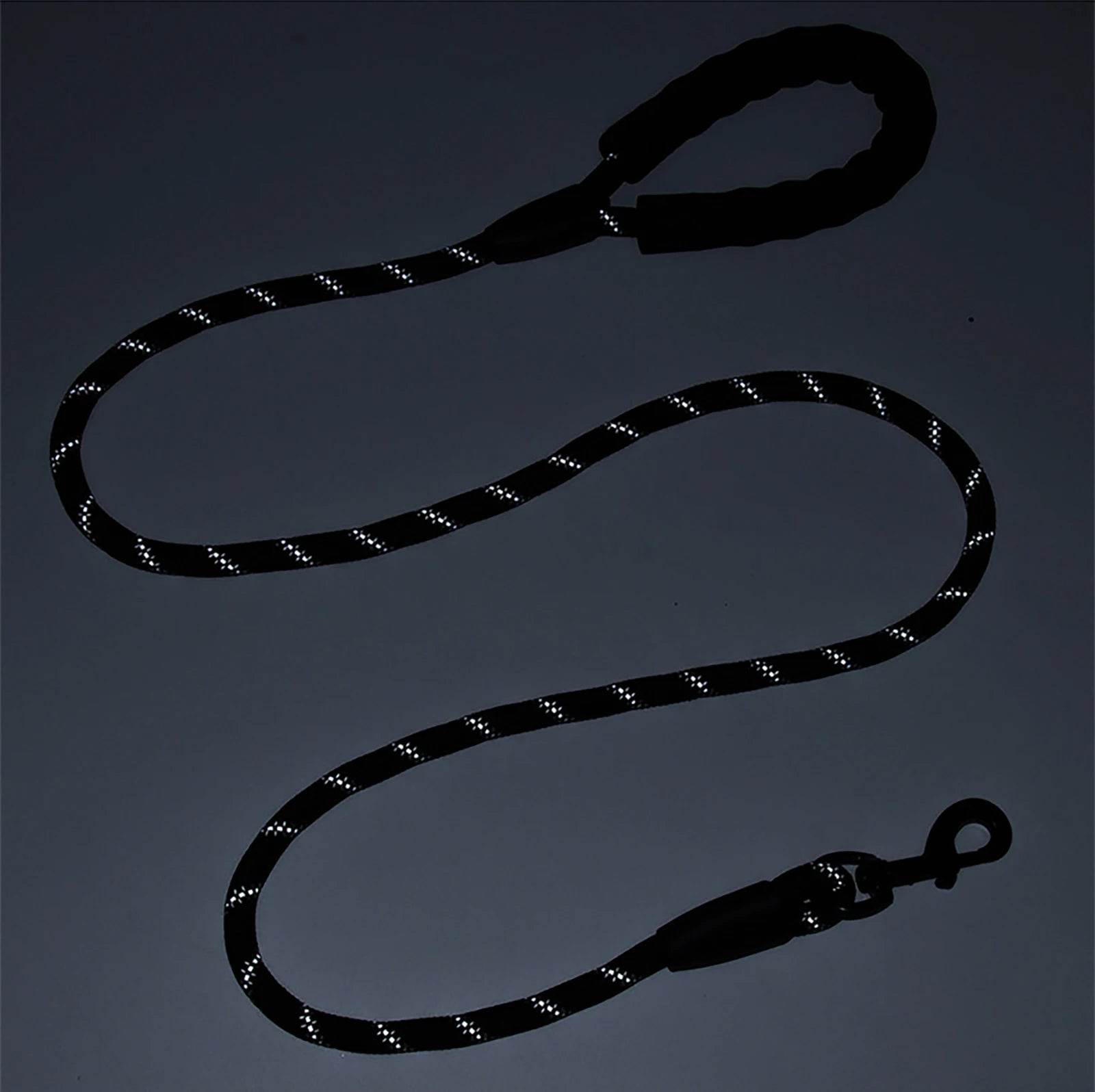 Laisse réfléchissante pour chien 1,5 m Laisse en nylon pour chien Poignée rembourrée confortable Marche en plein air Petit Moyen Grand Accessoires pour chiens Fournitures - Animaleriex