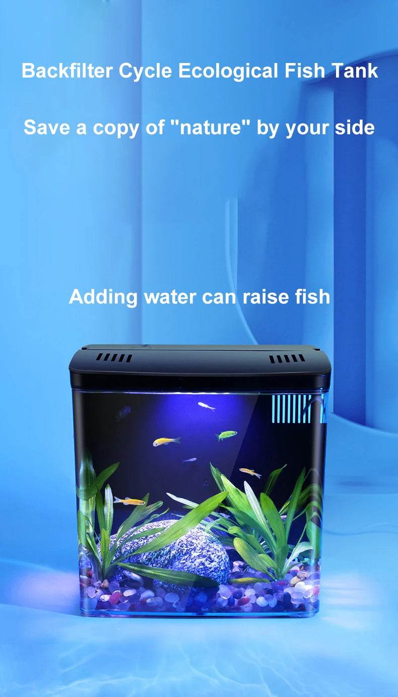 Réservoir de poissons de salon, petit mini réservoir Douyu, réservoir écologique de table domestique, filtre arrière à circulation automatique, réservoir de poissons rouges - Animaleriex