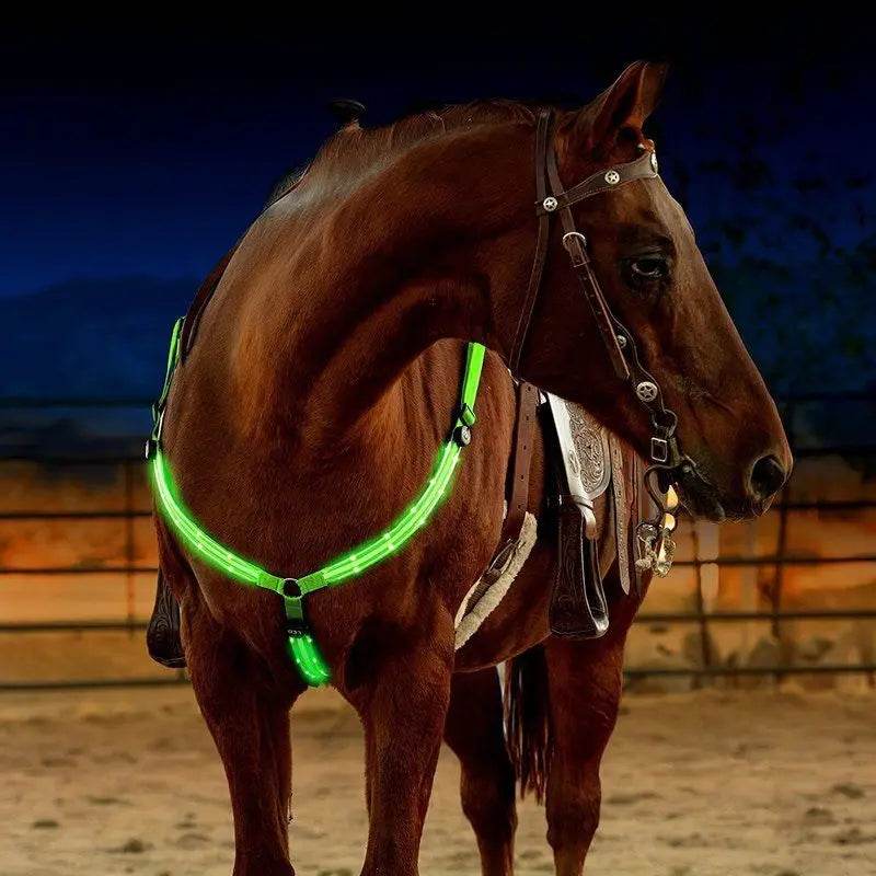 Sangles de poitrine de cheval LED 100CM, décoration d'équitation, Tubes lumineux, licou de selle équestre, produits de soins pour chevaux - Animaleriex