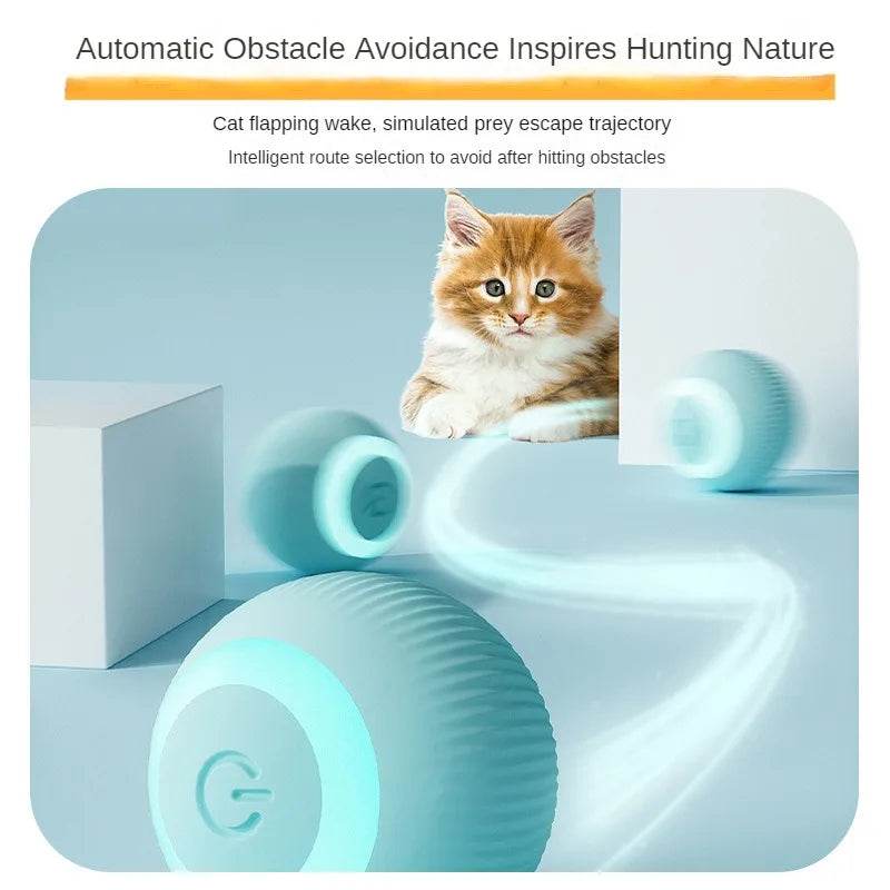 Jouet pour chats à mouvement automatique, balle Interactive, boule électrique roulante Rechargeable, accessoires pour animaux de compagnie, fournitures pour la maison - Animaleriex