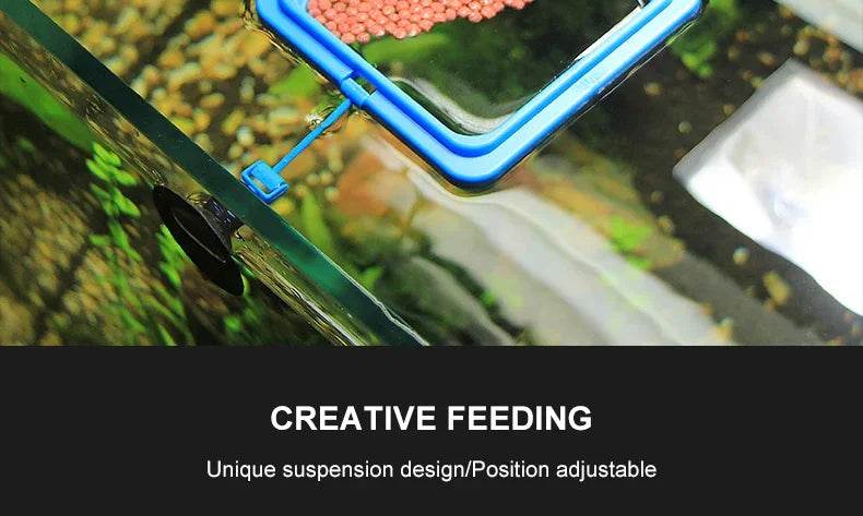 Anneau d'alimentation pour poissons d'aquarium, équipé de ventouses, Portable, circulaire et carré, mangeoire pour animaux aquatiques, outils d'alimentation pour Aquarium - Animaleriex