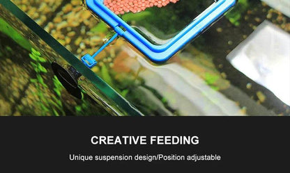 Anneau d'alimentation pour poissons d'aquarium, équipé de ventouses, Portable, circulaire et carré, mangeoire pour animaux aquatiques, outils d'alimentation pour Aquarium - Animaleriex