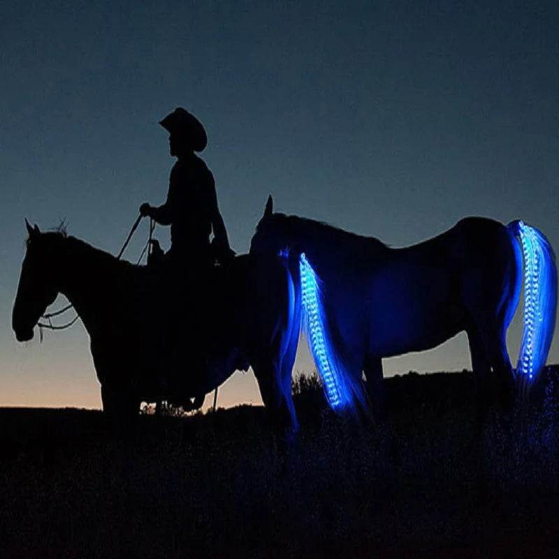 Accessoires de queue de cheval pour équitation, barre lumineuse clignotante LED, équipement de harnais pour Sports de plein air, Charge USB, décorations sûres pour l'équitation de nuit - Animaleriex