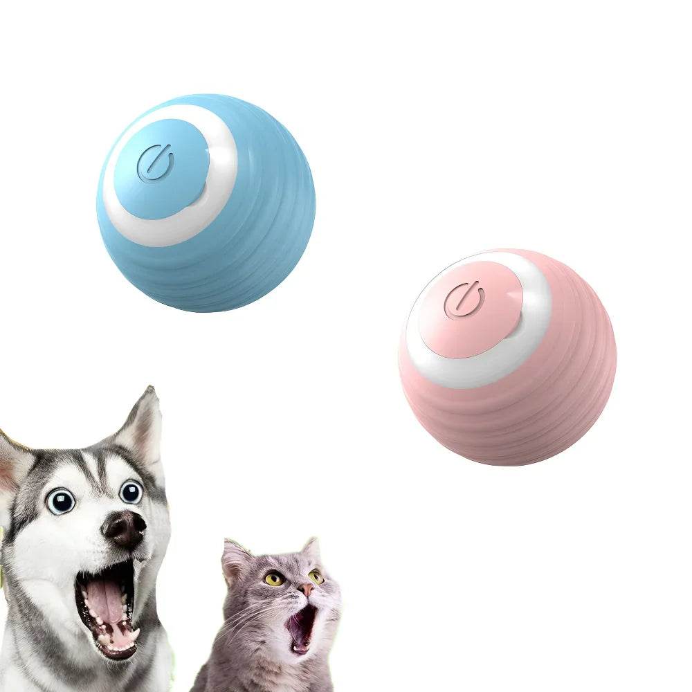 Balle Interactive pour chat, jouets intelligents pour animaux de compagnie, boule magique à roulement automatique d'intérieur, jouet interactif électronique, accessoires de jeu pour chat - Animaleriex