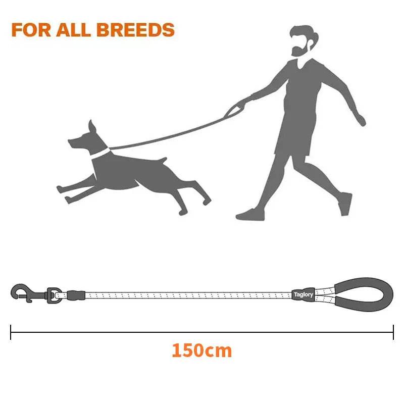 Laisse réfléchissante pour chien, corde de Traction, pour la sécurité des grands, petits et moyens chiens, poignée rembourrée confortable et Durable, accessoires pour animaux de compagnie - Animaleriex